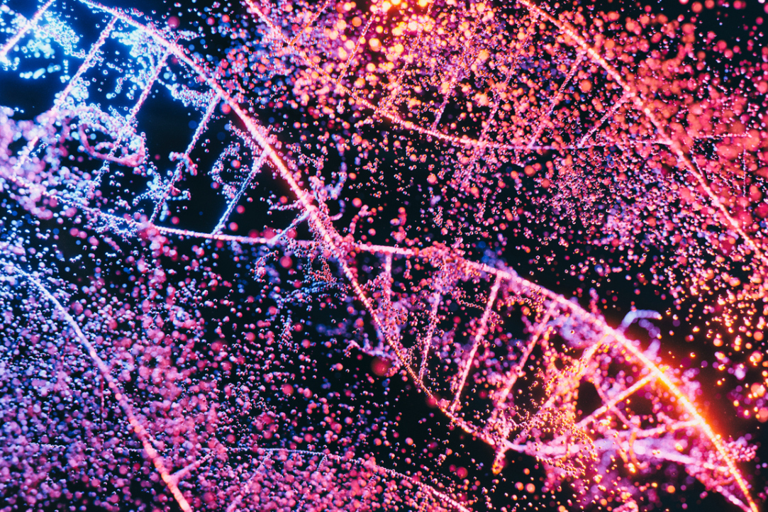 Иллюстрация к новости: Исследователи ВШЭ составили полногеномную карту квадруплексов